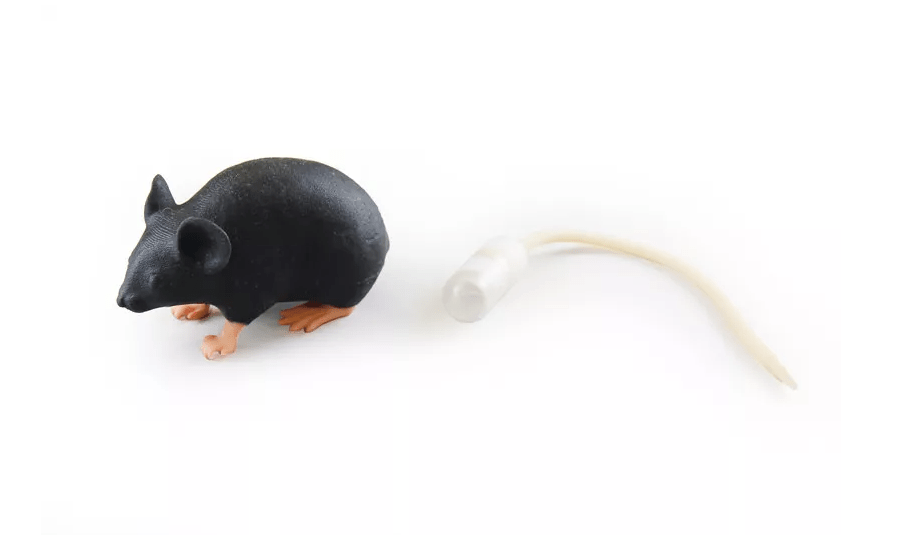 Mimicky Mouse - Erler - Zimmer